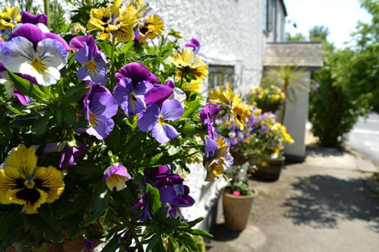 The Tytherleigh Arms Axminster Exteriér fotografie